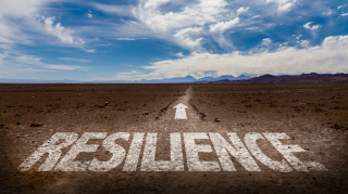 Resilience_Leo Bruno