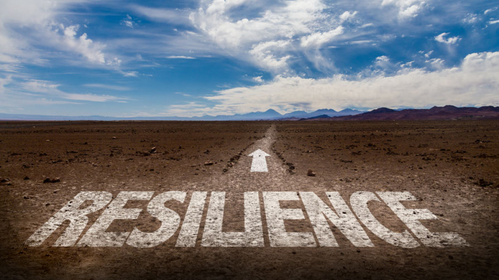 Resilience_Leo Bruno